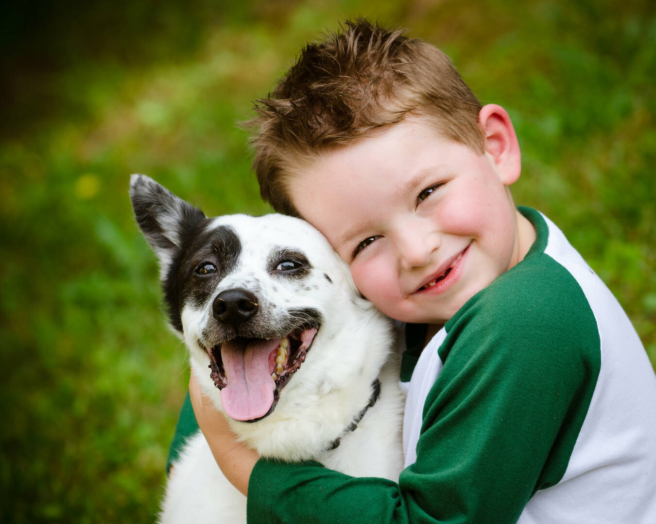 Integra Dog Training logo