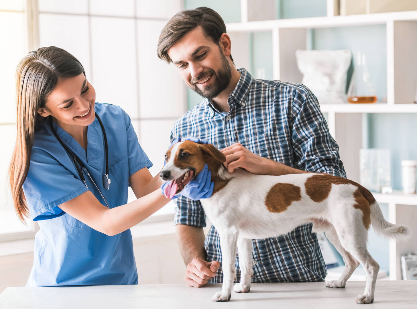 Angel Pet Hospital logo
