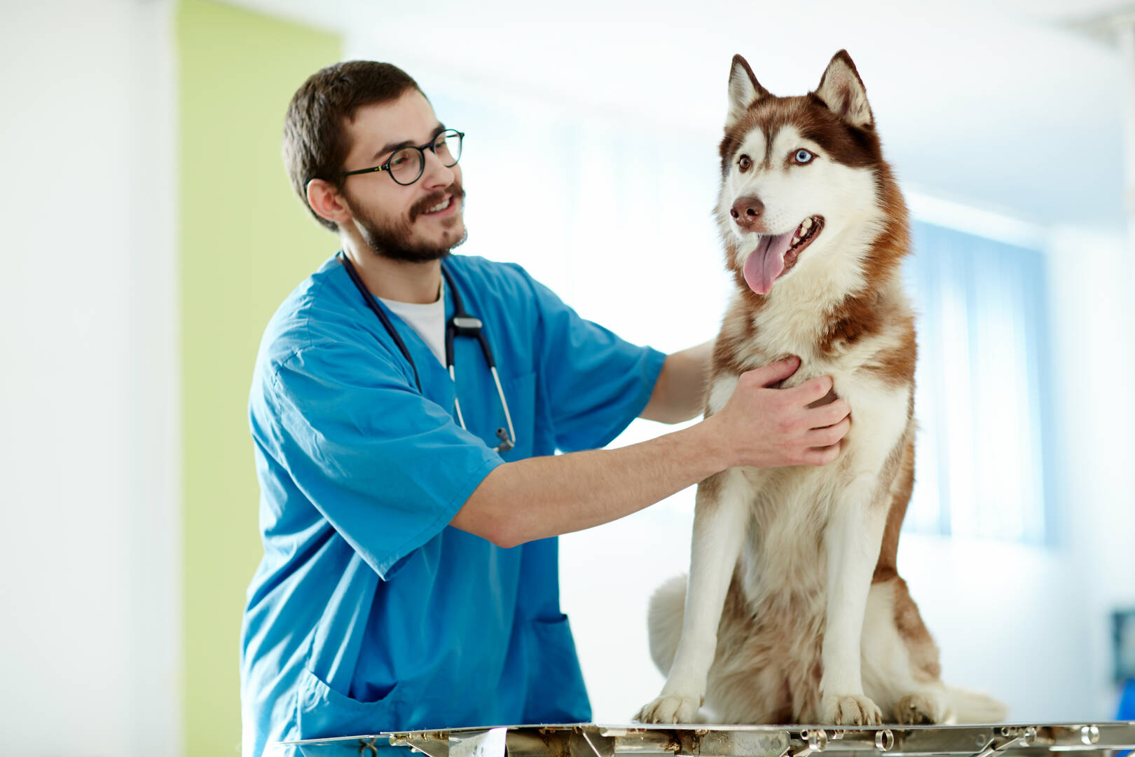 River West Animal Hospital logo