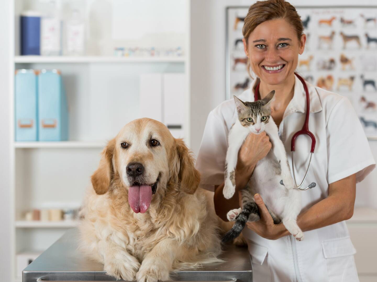Wynnum Manly Vet Hospital logo